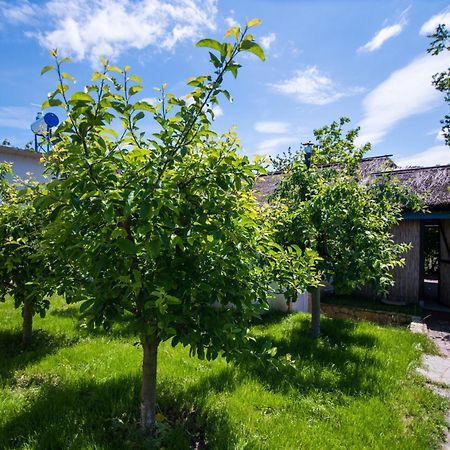 Pensiunea La Gura Portitei - Jurilovca Hotell Exteriör bild